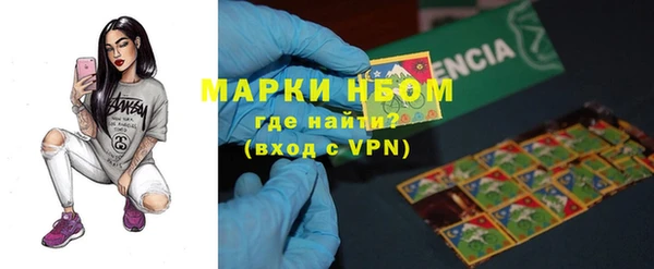 прущие грибы Алексеевка