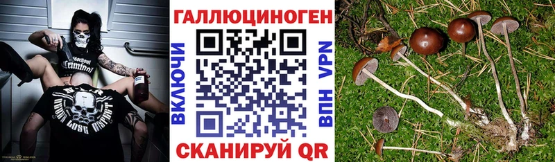 Псилоцибиновые грибы мицелий  Тара 