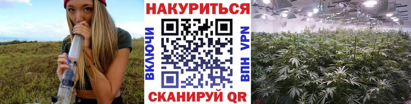 Бошки марихуана план  Тара 
